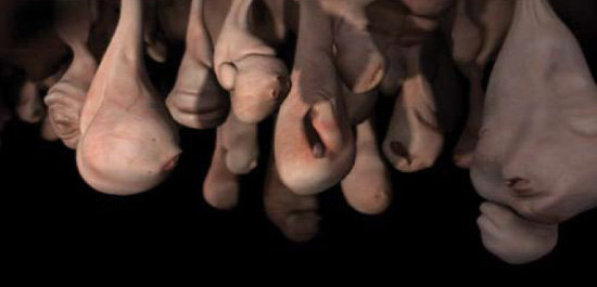 Patricia Piccinini ('In Bocca al Lupo,' 2003)
